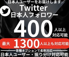 Twitter 日本人フォロワー400人増やします イメージ1