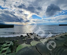 指定されたテーマの写真の素材提供をします イメージ1