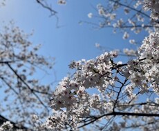 心のお悩み、何でも聴きます イメージ1