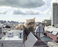 画像加工します イメージ1
