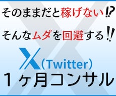 X運用代行に頼らないX運用の秘訣をコンサルします イメージ1