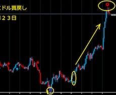 FXで専業しております 私と同じ手法です結果が全てです更にシンプルになりました