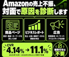 Amazonの売上不振、対面で原因を診断します イメージ1