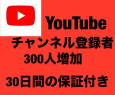 YouTubeチャンネル登録者300人増加致します イメージ1
