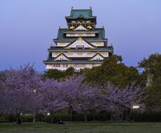 風景写真を提供します