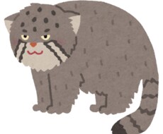 全肯定しない系”の、後輩みたいな聞き役やってます イメージ1