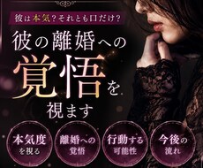 彼は口だけ？離婚する覚悟あるか見抜きます イメージ1