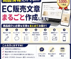 商品情報だけでEC販売用の文章一式を作成します イメージ1