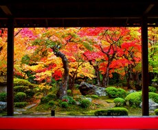 彼との関係占います イメージ1