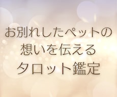 星になった大切なペットの今をリーディングします ペットとあなたのお互いの想いを届け前に進めるようになります