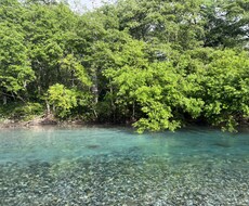 自分自身の特性に気づくお手伝いをします イメージ1