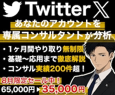 X,Twitterをプロが１ヶ月徹底コンサルします あなたのアカウントに必要な運用戦略やXの解説など／質疑応答◎