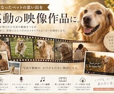ペットの思い出を感動映像作品にします 写真や動画を一本の心に残る作品へ