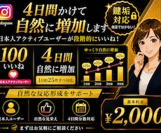 4日間かけてInstagram鍵垢いいね増加します イメージ1