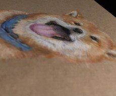 高校生が大切なペットのの色鉛筆画書きます