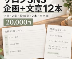 サロンのSNS企画と投稿文を12本作ります イメージ1