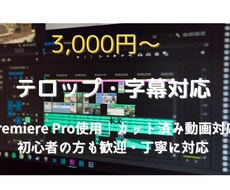 カット済み動画にテロップを丁寧に入れます イメージ1