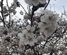 あなたの愚痴聞きます イメージ1