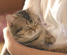 あなたの悩み聞きます イメージ1