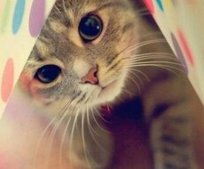 性にまつわる相談承ります イメージ1