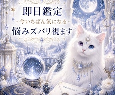 即日鑑定｜今いちばん気になる悩みズバリ視ます 今いちばん気になるテーマを恋愛・仕事・人間関係なんでも視ます