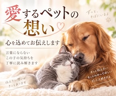 愛するペットが、あなたに伝えたい「想い」を届けます 言葉にならないこの子の想いを、心を込めてお伝えします