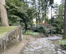あなたの心に付き添います