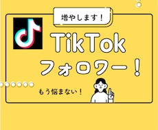 TikTokフォロワーを1,000人増加支援します 2025.8まで特別価格にてご提供