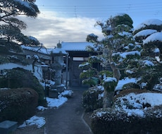 お庭や庭木のお悩み相談承ります イメージ1