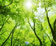 楽になれる考え方をお伝えします イメージ1
