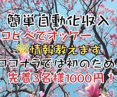 私が取組んでいる秘密の副業教えます 自動化収入、㊙︎収入スマホだけの簡単副業がここに⭐︎