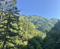 どこも引き受けてくれない山林の処分方法を教えます 終活や相続で処分に困った山林の悩みを解決します