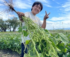 今年の家庭菜園一緒に考えます イメージ1