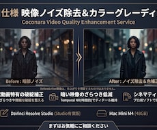 動画のノイズ除去とカラー調整を専門で行います イメージ1