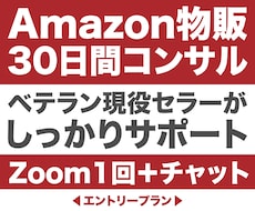 Amazon物販を30日間サポートします イメージ1