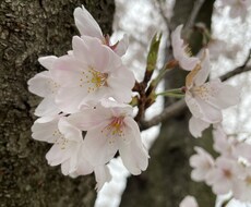 あなたのお話を聞きます！※女性限定でお願いします イメージ1