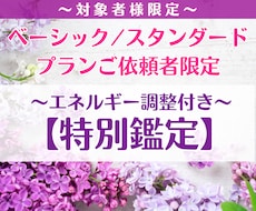 ベーシック/スタンダードプラン限定特別鑑定します イメージ1