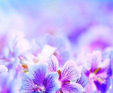 一日3名様まで☆気楽なおしゃべり相手します あなたの隠れた本性も、ここでは見せても大丈夫(*^▽^*)