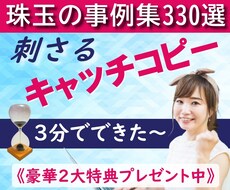 キャッチコピー事例集３３０選のＰＤＦを提供します 売上アップを急ぐ方！「キャッチコピーの極意」動画特典付き！