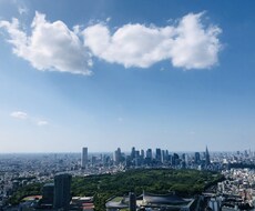 タロットリーディングをします