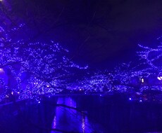 秘密の恋愛、あなたの不安や悩みに寄り添います イメージ1