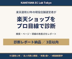 楽天ショップの改善点を現役店長が診断します イメージ1