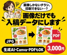 画像しかないチラシを入稿データに整えます イメージ1