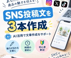 SNS投稿文を3本作成します イメージ1