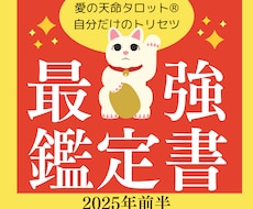 2025年前半鑑定書✨迷いを手放し未来を変えます 答えはすでに手の中✨天命タロットで見つける貴方だけのトリセツ