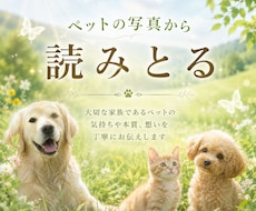 写真鑑定いたします