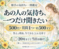 相手の気持ちを一問500円で占います イメージ1