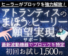 初回限定★ヒーリー分析調整＆ブロック解除します ドイツの最新波動機器×古代の叡智！願望実現への霧を晴らします