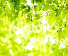 あなたの悩みを受け止めます 些細なことでもOK。どんな悩みでも、吐き出して。