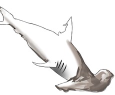 最愛のペットを描かせて頂きます イメージ1